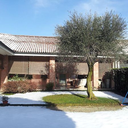 B&B Del Borgo Cittadella Eksteriør billede
